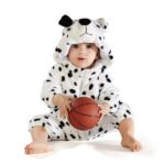 Dalmatian - Image 5