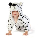 Dalmatian - Image 3