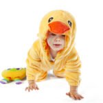 Duck - Image 6