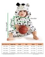 Dalmatian - Image 2